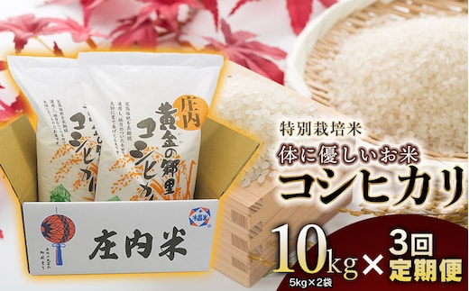 【3回定期便】【令和7年産】特別栽培米 体に優しいお米・こしひかり10kg（5kg×2） 山形県庄内産 鶴岡米穀商業協同組合