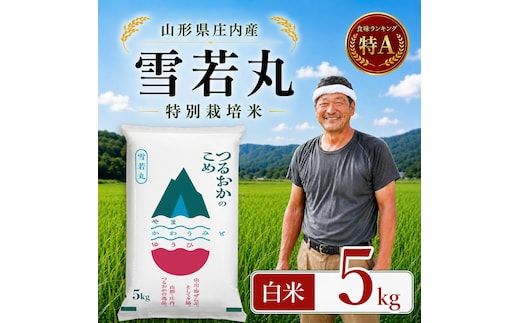 【令和7年産】 特別栽培米 雪若丸 精米 5kg (5kg×1袋) 山形県 庄内産 | ゆきわかまる 5キロ 米 お米 コメ 白米 食品 ご飯 ごはん 美味しい おいしい ブランド米 庄内米 エコ包装 おすすめ 人気 山形県 鶴岡市 東北 国産 お取り寄せ SDGs未来都市鶴岡 返礼品