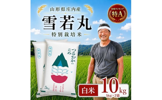 【令和7年産】 特別栽培米 雪若丸 精米 10kg(5kg×2袋) 山形県 庄内産 | ゆきわかまる 10キロ 米 お米 コメ 白米 食品 ご飯 ごはん 美味しい おいしい ブランド米 庄内米 エコ包装 おすすめ 人気 山形県 鶴岡市 東北 国産 お取り寄せ SDGs未来都市鶴岡 返礼品