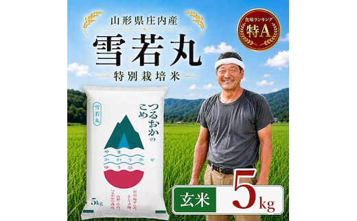 【令和7年産】 特別栽培米 雪若丸 玄米 5kg (5kg×1袋) 山形県 庄内産 | ゆきわかまる 5キロ 米 お米 コメ 食品 ご飯 ごはん 美味しい おいしい ブランド米 庄内米 エコ包装 おすすめ 人気 山形県 鶴岡市 東北 国産 お取り寄せSDGs未来都市鶴岡 返礼品