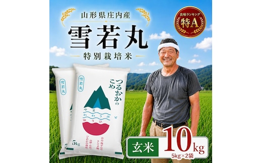 【令和7年産】 特別栽培米 雪若丸 玄米 10kg(5kg×2袋) 山形県 庄内産 | ゆきわかまる 10キロ 米 お米 コメ 食品 ご飯 ごはん 美味しい おいしい ブランド米 庄内米 エコ包装 おすすめ 人気 山形県 鶴岡市 東北 国産 お取り寄せ SDGs未来都市鶴岡 返礼品