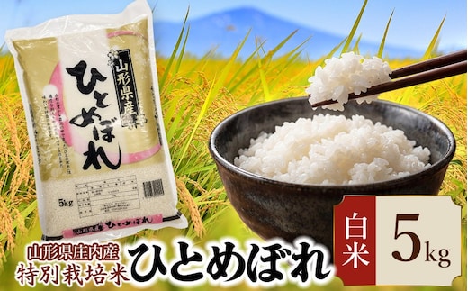 【令和7年産】 特別栽培米 ひとめぼれ 精米 5kg (5kg×1袋) 山形県 庄内産 | 5キロ 米 お米 コメ 白米 食品 ご飯 ごはん 美味しい おいしい ブランド米 庄内米 エコ包装 おすすめ 人気 山形県 鶴岡市 東北 国産 お取り寄せ SDGs未来都市鶴岡 返礼品