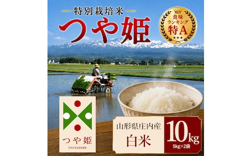 【令和7年産】 特別栽培米 つや姫 精米 10kg（5kg×2袋） 山形県 庄内産 | つやひめ 10キロ 米 お米 コメ 白米 食品 ご飯 ごはん 美味しい おいしい ブランド米 エコ包装 おすすめ 人気 山形県 鶴岡市 東北 国産 お取り寄せ SDGs未来都市鶴岡 返礼品
