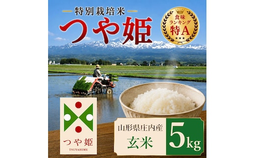 【令和7年産】 特別栽培米 つや姫 玄米 5kg (5kg×1袋) 山形県 庄内産 | つやひめ 5キロ 米 お米 コメ 食品 ご飯 ごはん 美味しい おいしい ブランド米 エコ包装 おすすめ 人気 山形県 鶴岡市 東北 国産 お取り寄せ SDGs未来都市鶴岡 返礼品