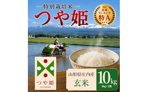 【令和7年産】 特別栽培米 つや姫 玄米 10kg（5kg×2袋） 山形県 庄内産 | つやひめ 10キロ 米 お米 コメ 食品 ご飯 ごはん 美味しい おいしい ブランド米 エコ包装 おすすめ 人気 山形県 鶴岡市 東北 国産 お取り寄せ SDGs未来都市鶴岡 返礼品
