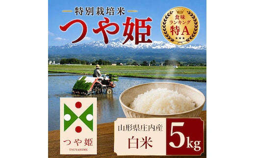 【令和7年産】 特別栽培米 つや姫 精米 5kg (5kg×1袋) 山形県 庄内産 | つやひめ 5キロ 米 お米 コメ 白米 食品 ご飯 ごはん 美味しい おいしい ブランド米 エコ包装 おすすめ 人気 山形県 鶴岡市 東北 国産 お取り寄せ SDGs未来都市鶴岡 返礼品