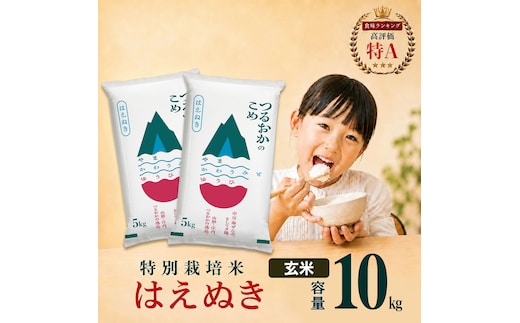 【令和7年産】 特別栽培米 はえぬき 玄米 10kg(5kg×2袋) 山形県 庄内産 | 10キロ 米 お米 コメ 食品 ご飯 ごはん 美味しい おいしい ブランド米 庄内米 エコ包装 おすすめ 人気 山形県 鶴岡市 東北 国産 お取り寄せ SDGs未来都市鶴岡 返礼品