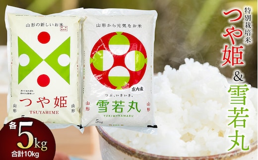 【令和7年産】【新米】 特別栽培米つや姫5kg＋雪若丸5kgセット 山形県庄内産 鶴岡米穀商業協同組合
