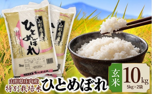 【令和7年産】 特別栽培米 ひとめぼれ 玄米 10kg (5kg×2袋) 山形県 庄内産 | 10キロ 米 お米 コメ 食品 ご飯 ごはん 美味しい おいしい ブランド米 庄内米 エコ包装 おすすめ 人気 山形県 鶴岡市 東北 国産 お取り寄せ SDGs未来都市鶴岡 返礼品