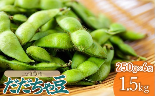 【令和8年産先行予約】 だだちゃ豆 約1.5kg (250g×6袋) 三浦農産