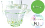虹のスキャット【わかくさ】猪口（おちょこ・ぐい呑み）　松ヶ岡ガラス工業
