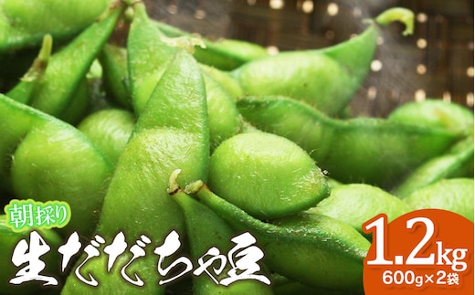 【令和8年産先行予約】【8/24～8/30発送】 朝採り生だだちゃ豆 1.2kg(600g×2袋) 山形県鶴岡市産 株式会社菜な八（鶴岡ファーマーズ）