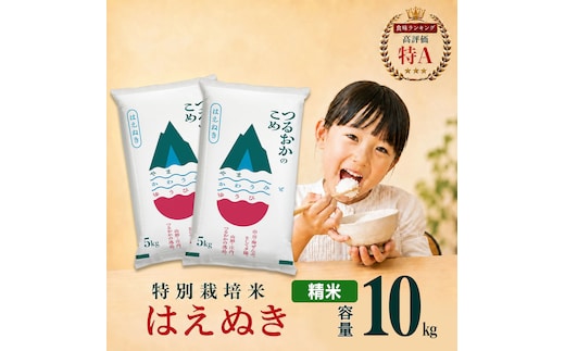 【令和7年産】 特別栽培米 はえぬき 精米 10kg(5kg×2袋) 山形県 庄内産 | 10キロ 米 お米 コメ 白米 食品 ご飯 ごはん 美味しい おいしい ブランド米 庄内米 エコ包装 おすすめ 人気 山形県 鶴岡市 東北 国産 お取り寄せ SDGs未来都市鶴岡 返礼品