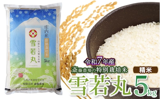 【令和7年産】【新米】斎藤農場の特別栽培米 雪若丸 精米 5kg(5kg×1袋) 山形県鶴岡市 [K-756]