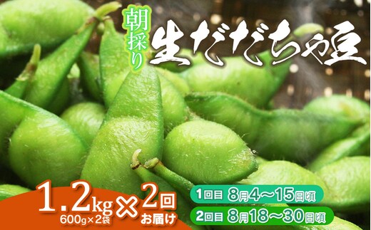 【2回定期便】【令和8年産先行予約】 朝採り生だだちゃ豆 1.2kg(600g×2袋) 旬2回お届け (8月上旬、8月下旬) 山形県鶴岡市産 株式会社菜な八（鶴岡ファーマーズ）