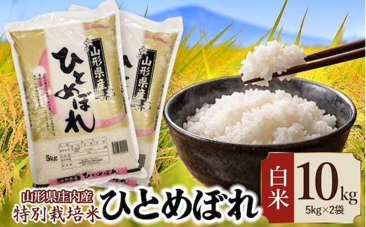 【令和7年産】 特別栽培米 ひとめぼれ 精米 10kg (5kg×2袋) 山形県 庄内産 | 10キロ 米 お米 コメ 白米 食品 ご飯 ごはん 美味しい おいしい ブランド米 庄内米 エコ包装 おすすめ 人気 山形県 鶴岡市 東北 国産 お取り寄せ SDGs未来都市鶴岡 返礼品