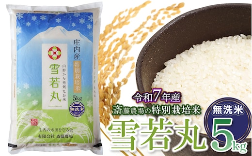 【令和7年産】【新米】斎藤農場の特別栽培米 雪若丸 無洗米 5kg(5kg×1袋) 山形県鶴岡市 [K-756]