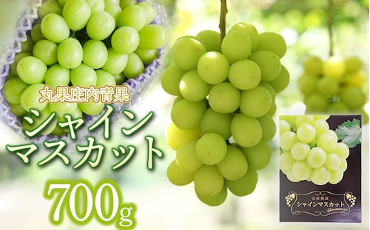 【令和8年産先行予約】シャインマスカット 約700g 丸果庄内青果