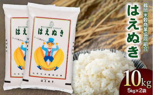 【令和7年産】【新米】はえぬき10kg（5kg×2） 山形県庄内産 鶴岡米穀商業協同組合