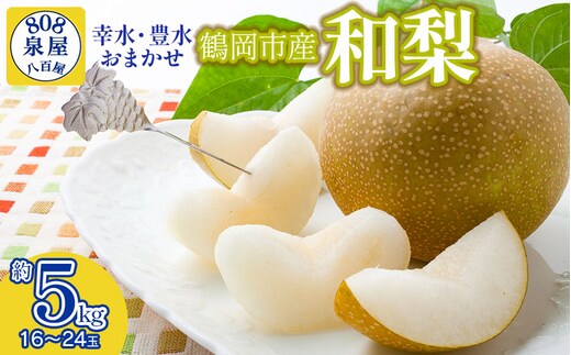 【令和8年産先行予約】鶴岡市産 和梨（品種おまかせ）幸水・豊水のどちらか1種 約5kg（16～24玉） K-836 泉屋商店