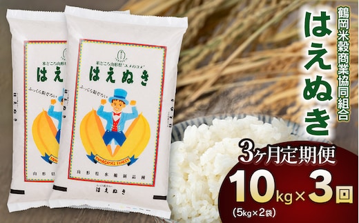 【3回定期便】【令和7年産】【新米】 はえぬき 10kg(5kg×2)×3回 山形県庄内産 鶴岡米穀商業協同組合