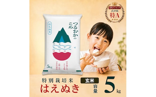 【令和7年産】 特別栽培米 はえぬき 玄米 5kg (5kg×1袋) 山形県 庄内産 | 5キロ 米 お米 コメ 食品 ご飯 ごはん 美味しい おいしい ブランド米 庄内米 エコ包装 おすすめ 人気 山形県 鶴岡市 東北 国産 お取り寄せ SDGs未来都市鶴岡 返礼品