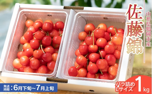 【令和8年産先行予約】佐藤錦 バラ詰め Lサイズ 1kg もぎたて「初夏の味覚」さくらんぼ 丸忠農園