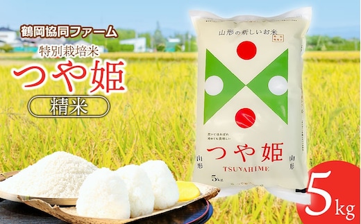 【令和7年産】【新米】 特別栽培米つや姫 5kg (5kg×1袋) 山形県鶴岡産 鶴岡協同ファーム