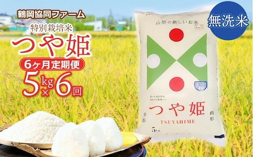 【令和8年産先行予約】特別栽培米つや姫 無洗米 5kg (5kg×1袋)×6ヶ月【定期便】 鶴岡協同ファーム 