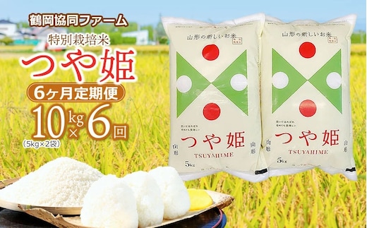 【令和8年産先行予約】特別栽培米つや姫 10kg (5kg×2袋)×6ヶ月【定期便】 鶴岡協同ファーム 