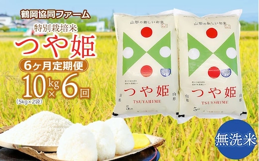 【令和8年産先行予約】特別栽培米つや姫 無洗米 10kg (5kg×2袋)×6ヶ月【定期便】 鶴岡協同ファーム 