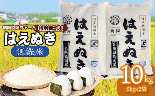 【令和7年産】 特別栽培米はえぬき 無洗米 10kg (5kg×2袋) 山形県鶴岡産 鶴岡協同ファーム
