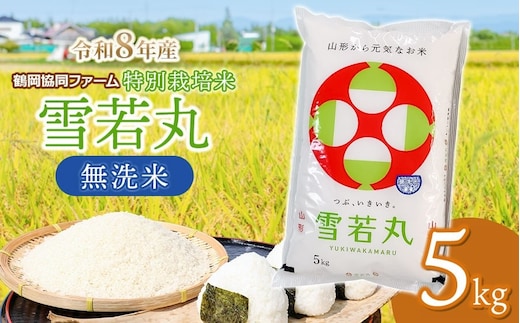 【令和8年産先行予約】 特別栽培米 雪若丸 無洗米 5kg (5kg×1袋) 山形県鶴岡産 鶴岡協同ファーム