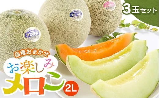 【令和8年産先行予約】 お楽しみメロン 3玉セット 2Lサイズ 山形県庄内産 アンデスメロン・鶴姫メロン・鶴姫レッドメロン の中から3玉お届け 食べ比べ 鶴岡市農業協同組合 K-836