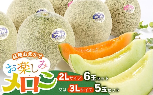 【令和8年産先行予約】お楽しみメロン 3L 5玉セット または 2L 6玉セット 山形県庄内産 K-860 鶴岡市農業協同組合