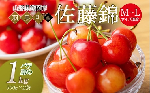 【令和8年産先行予約】さくらんぼ 佐藤錦 M～Lサイズ混合 バラ詰め 1kg (500g×2P) 庄内さくらんぼ園