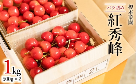 【令和8年産先行予約】 山形県 鶴岡市産 さくらんぼ 「紅秀峰」 (2Lサイズ以上) バラ詰め 1kg (500g×2) 榎本菜園 K-866