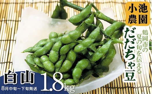 【令和8年産先行予約】【鶴岡の夏の旬を伝える】 小池農園のだだちゃ豆 【白山】 1.8kg（600g×3袋） k-832