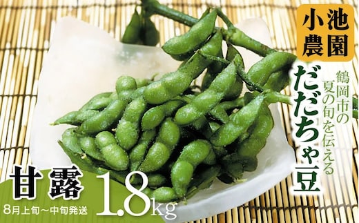 【令和8年産先行予約】【鶴岡の夏の旬を伝える】 小池農園のだだちゃ豆 【甘露】 1.8Kg（600g×3袋）K-832