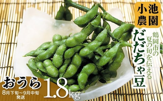 【令和8年産先行予約】【鶴岡の夏の旬を伝える】 小池農園のだだちゃ豆 【おうら】 1.8kg（600g×3袋）K-832