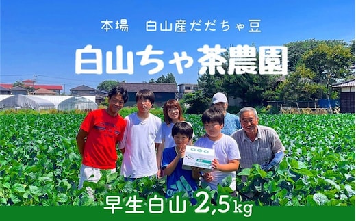 【令和8年産先行予約】山形セレクション認定 だだちゃ豆 「早生白山」 2.5kg（500g×5袋）山形県鶴岡市 白山ちゃ茶農園 K-861 | だだちゃ豆 枝豆 えだまめ 豆 2.5キロ 夏の味覚 おつまみ 旬の野菜 期間限定 名産品 ビールのお供 手土産 山形県 庄内 東北 返礼品