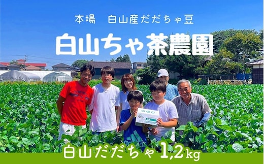 【令和8年産先行予約】山形セレクション認定 だだちゃ豆 「白山だだちゃ」 1.2kg（600g×2袋） 山形県鶴岡市 白山ちゃ茶農園 K-831 | だだちゃ豆 枝豆 えだまめ 豆 1.2キロ 夏の味覚 おつまみ 旬の野菜 期間限定 名産品 ビールのお供 手土産 山形県 庄内 東北 返礼品