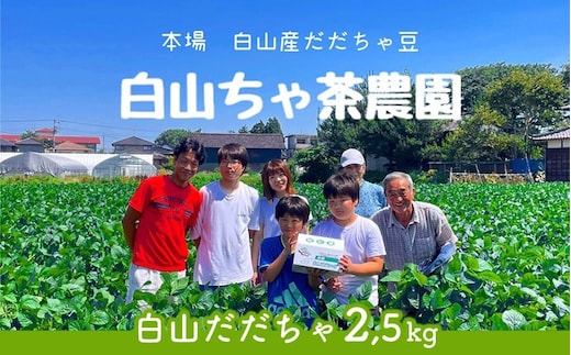 【令和8年産先行予約】山形セレクション認定 だだちゃ豆 「白山だだちゃ」 2.5kg（500g×5袋） 山形県鶴岡市 白山ちゃ茶農園 K-861 | だだちゃ豆 枝豆 えだまめ 豆 2.5キロ 夏の味覚 おつまみ 旬の野菜 期間限定 名産品 ビールのお供 手土産 山形県 庄内 東北 返礼品