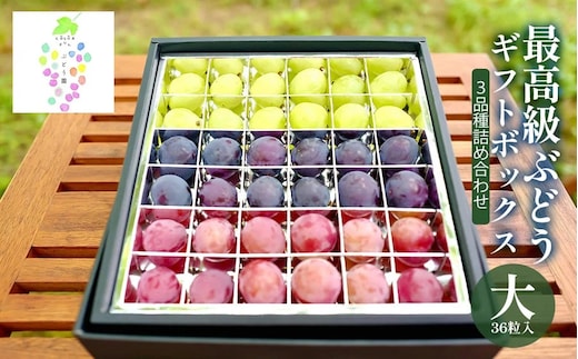 【令和8年産先行予約】贈答用に 大粒選りすぐり 最高級ぶどう ギフトボックス【大】36粒入 高級3品種 詰合せ（手詰め） カラフルぶどう園