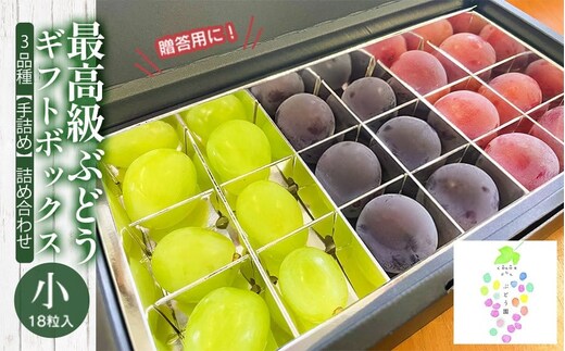【令和8年産先行予約】贈答用に 大粒選りすぐり 最高級ぶどう ギフトボックス【小】18粒入 高級3品種 詰合せ（手詰め） カラフルぶどう園 