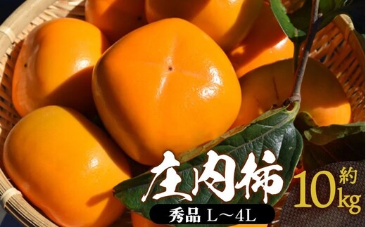 【令和8年産先行予約】 庄内柿 秀品 (L～4Lサイズ) 約10kg (5kg×2箱) (50～62個) 山形県鶴岡市産 株式会社 元青果