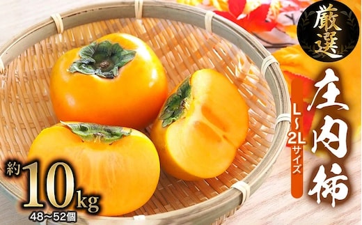 【令和8年産 先行予約】厳選 庄内柿 L 又は 2Lサイズ 約10kg (5kg×2箱) （48～52個） 株式会社 元青果