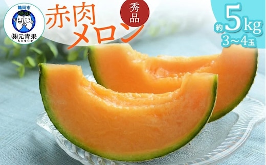 【令和8年産先行予約】 庄内砂丘赤肉メロン 秀品 大玉 約5kg (3～4玉) 山形県鶴岡市産 株式会社 元青果