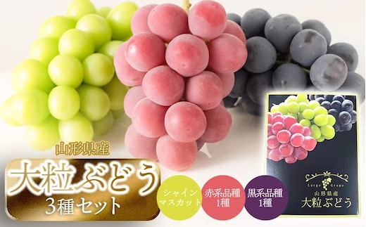 【令和8年産先行予約】大粒ぶどう3種 約2kg シャインマスカット＋他2品種 丸果庄内青果
