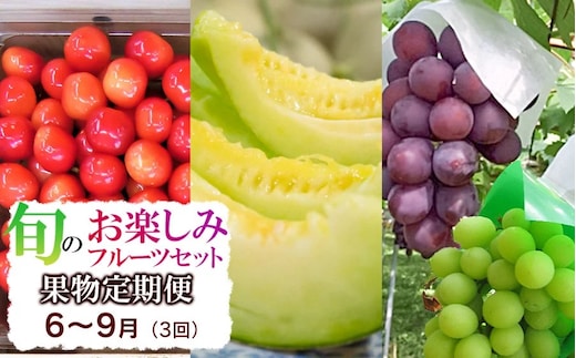 【定期便】【令和8年産先行予約】 山形県鶴岡産 旬のお楽しみフルーツセット (果物) さくらんぼ・メロン・大粒ぶどうの詰合せ (計3回) 産直あぐり 